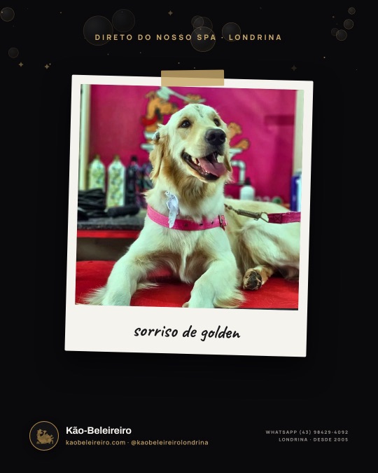 sorriso de golden